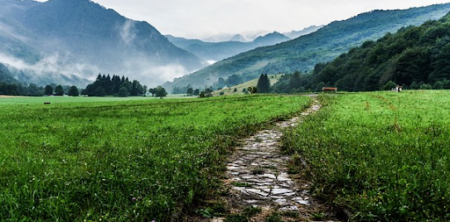 Grief Journey & Stages – Let’s talk about them – continued for 2019