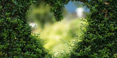 Valentine’s Preparation for the Grieving Heart