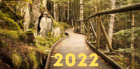 Walking Quietly into 2022