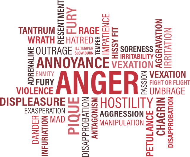 You are currently viewing Anger – The Next Step in The Grief Journey