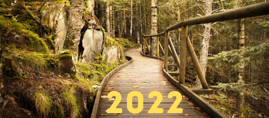 Read more about the article Walking Quietly into 2022