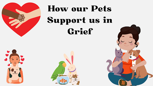 Read more about the article How Our Pets Support Us in Grief